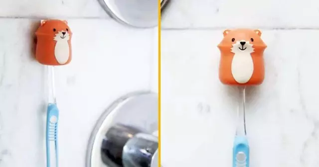 paresseux-porte-brosse-dents-1-1024x538