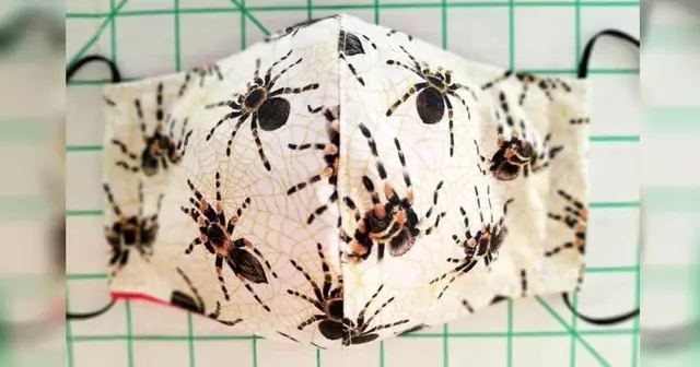 masque-protection-araignee