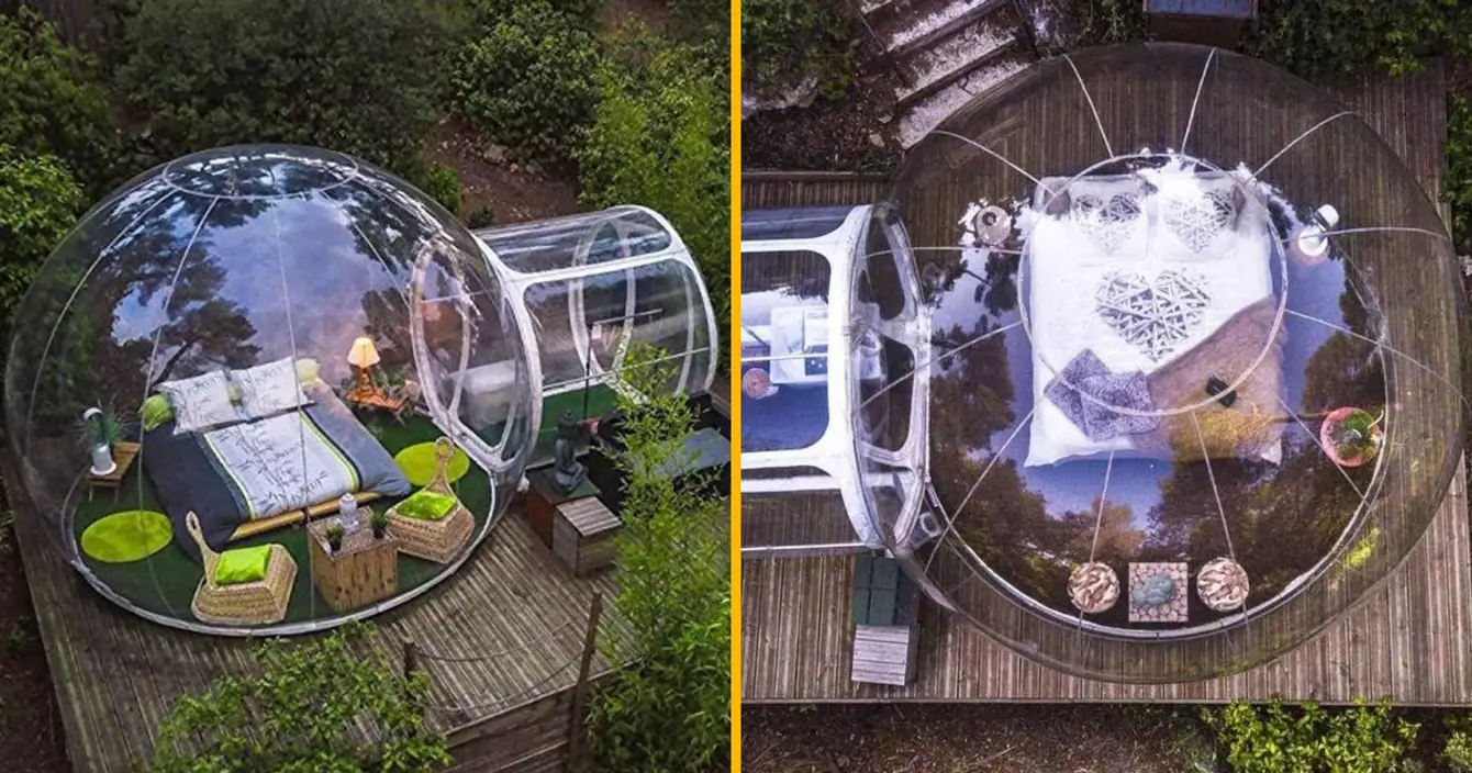 tente-bulle-transparente