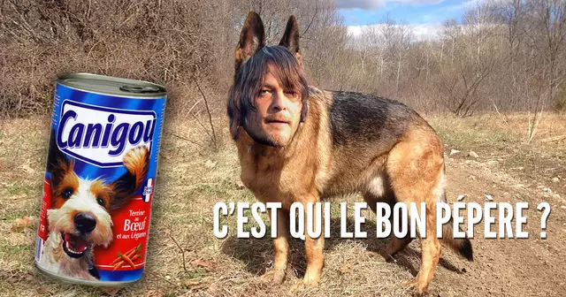 une_daryl