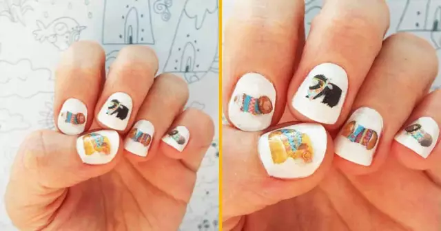 transfert-cochon-inde-ongle