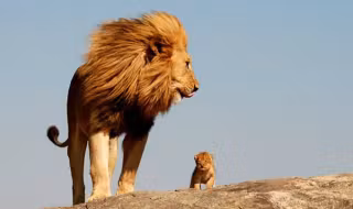 36 - UHLKT8Q_resultat