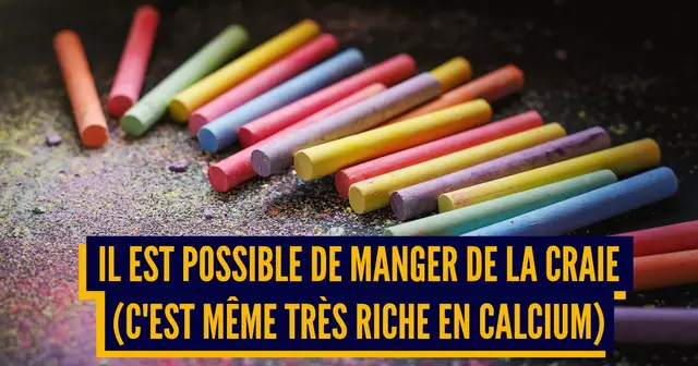 ALIMENT INSOLITE COMESTIBLE