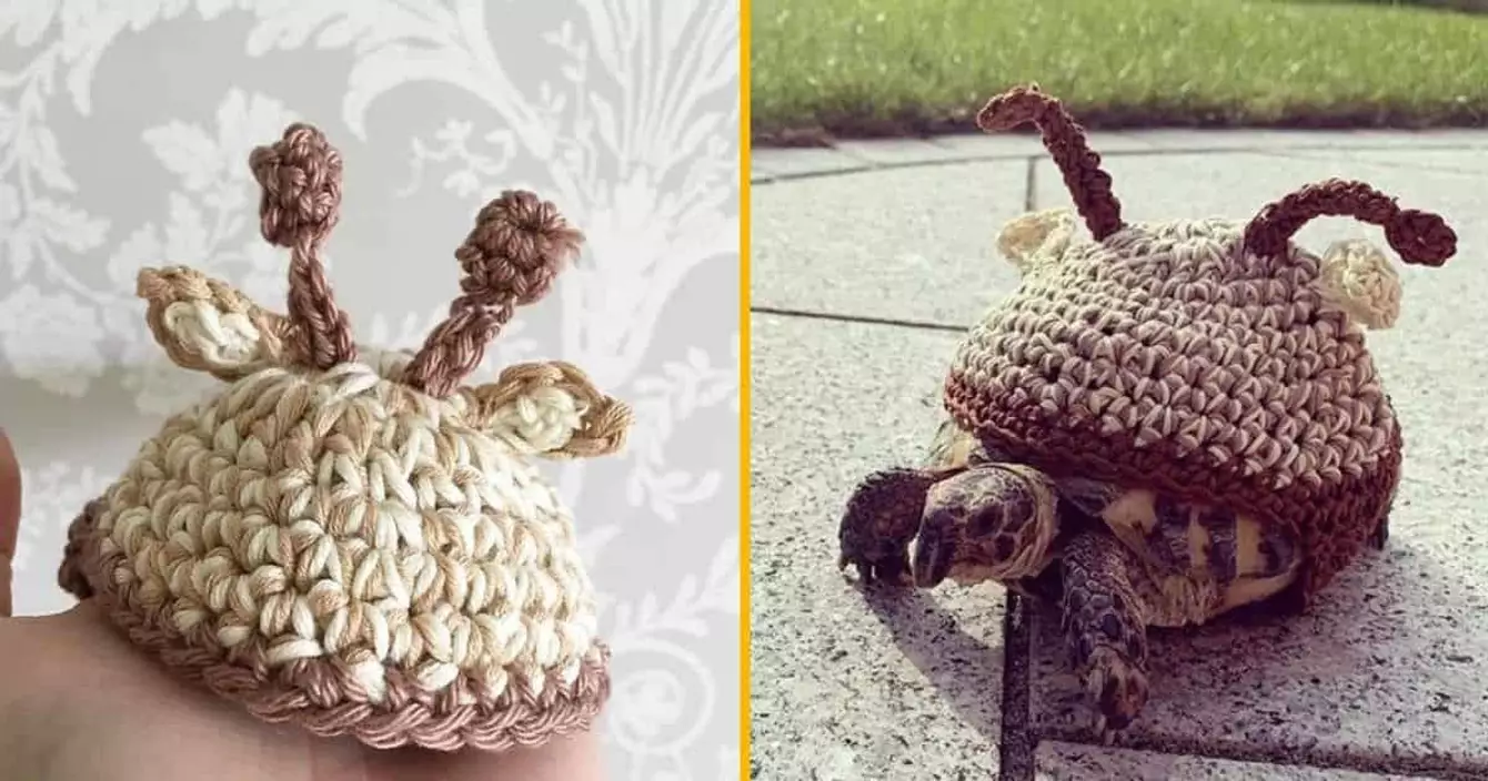 costume-girafe-tortue