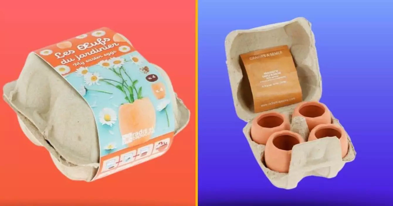 boite-oeufs-faire-pousser