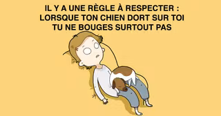 illustration-chien-personnes-ont