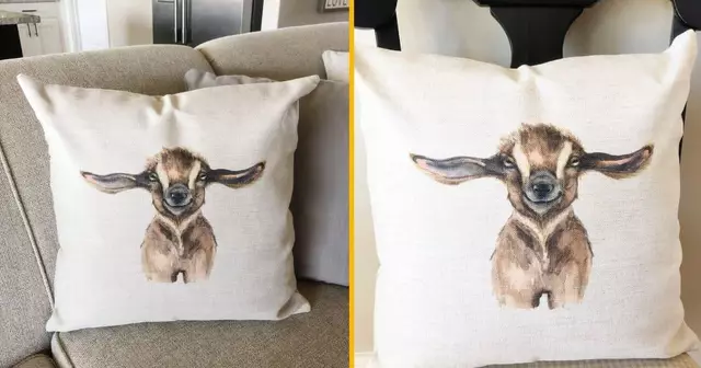 coussin-petite-chevre