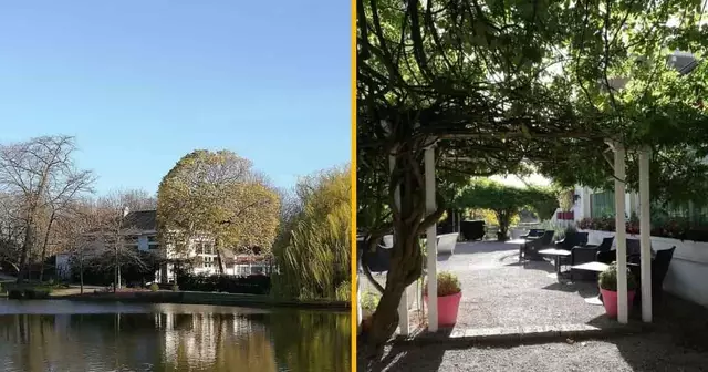 restaurant-chalet-iles-daumesnil