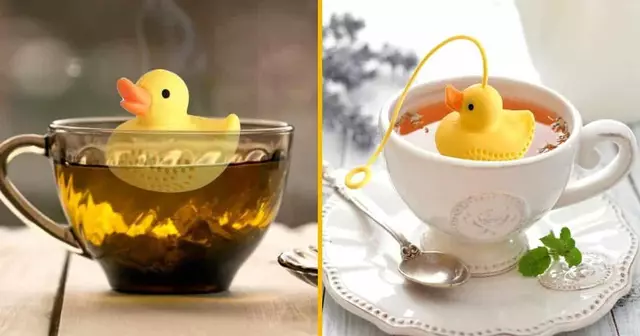 infuseur-the-canard