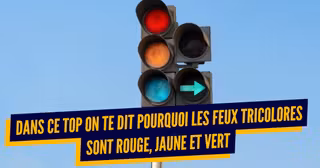 TOP codes couleur (1)