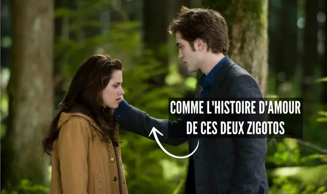 Bella et Edward