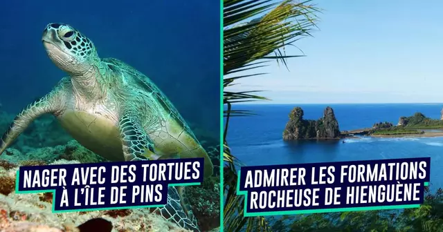 une_voyage_nouvelle_calédonie