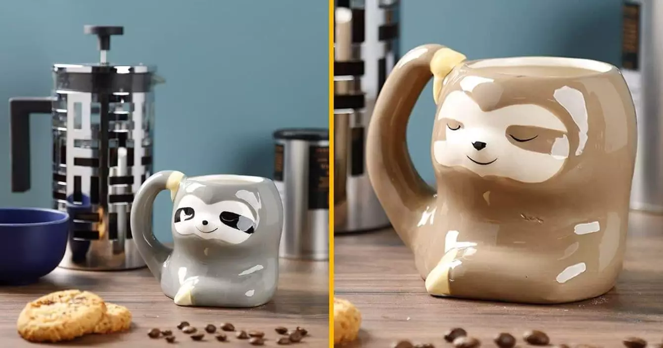 mug-paresseux-accroche