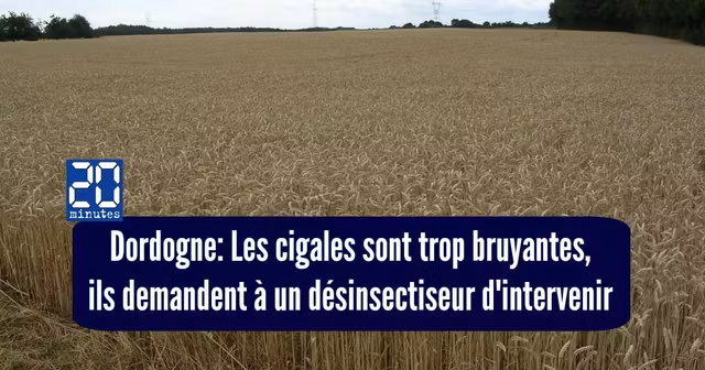 une campagne
