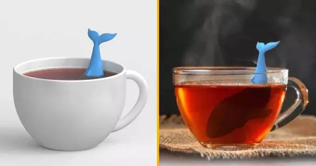 infuseur the baleine