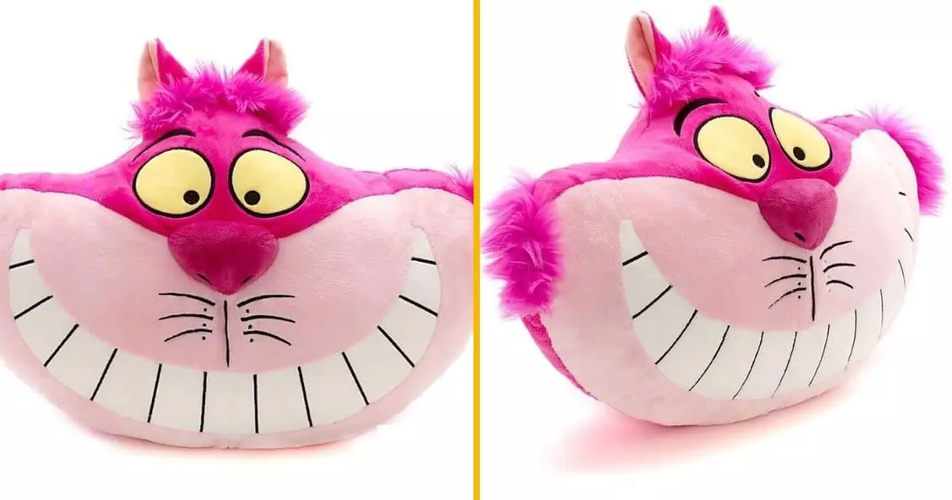 coussin-chat-chester