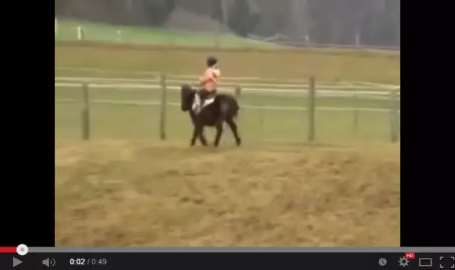 Boy falls off horse and is attacked by crazy ostrich   with subtitles   YouTube