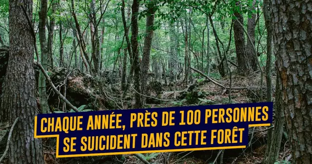 top foret suicide