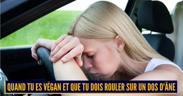 animaux expression vegans