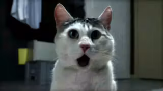 Com_Hem_Sommar_2010_Omg_Cat_stoppweb_16x9