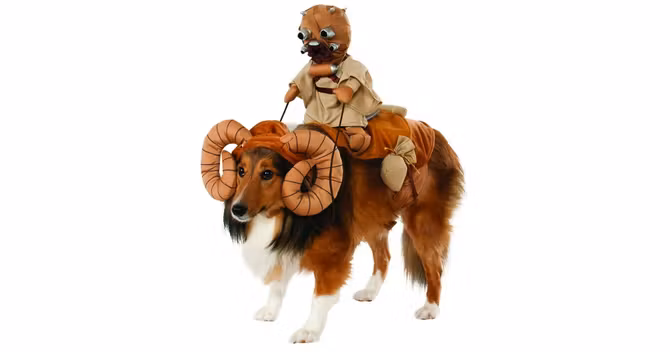 costume-bantha-chien