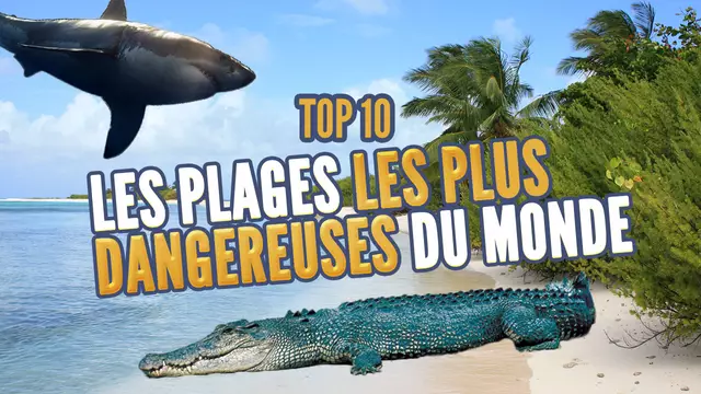 Miniature_Les plages