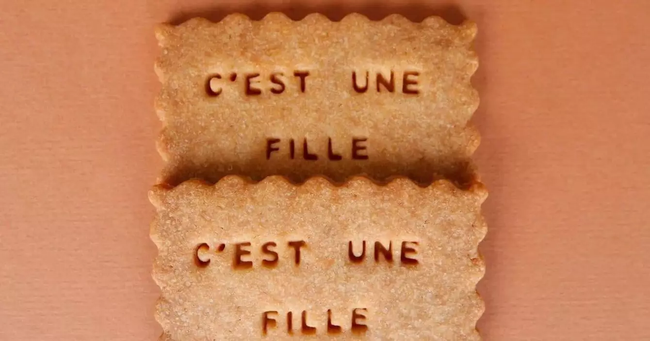 lot-de-biscuit-gender-reveal