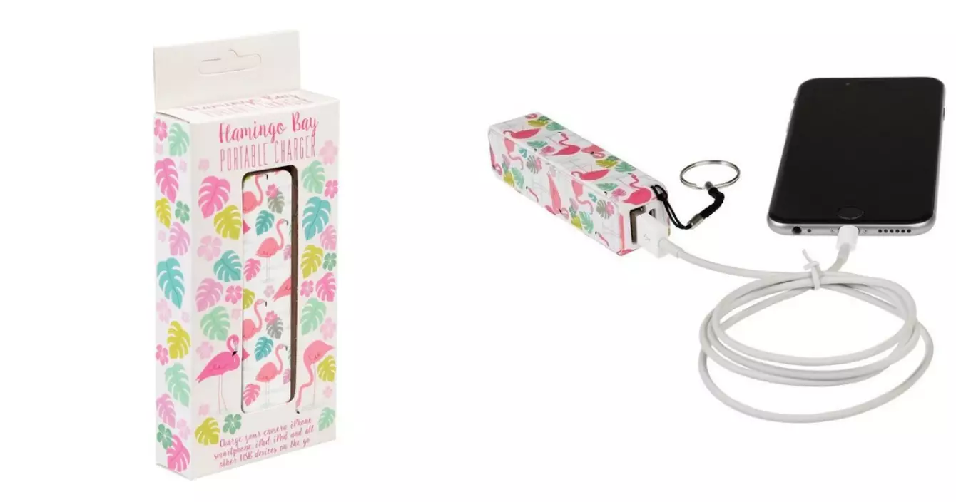 batterie-externe-flamant-rose