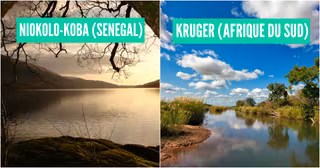top parc africain