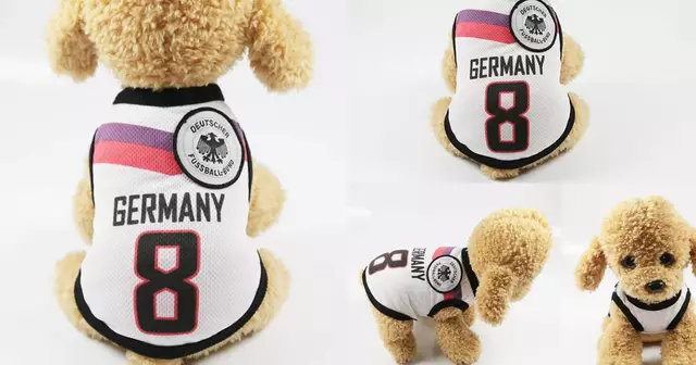 gilet-chien-allemagne