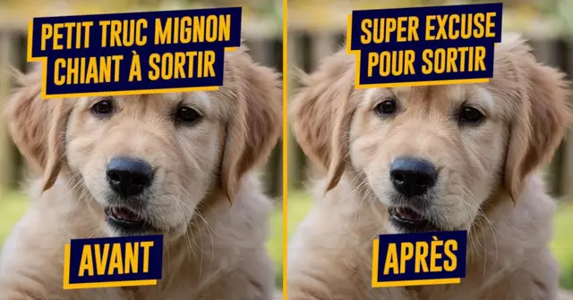 une_mots_changetn de sens