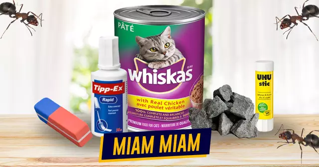 UNE_TOP_ENFANT_MANGE