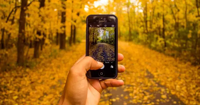 phone-1031194_960_720