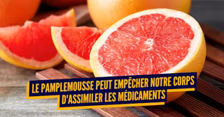 pamplemousseV1