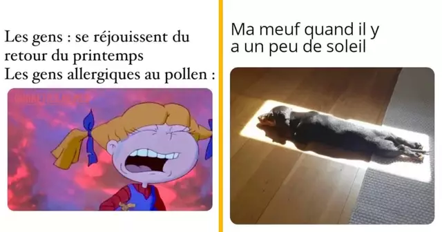 top memes printemps 2