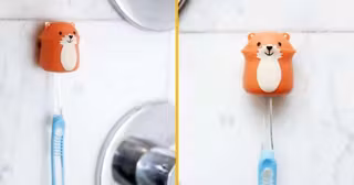 paresseux-porte-brosse-dents-1-1024x538