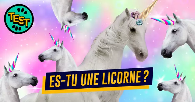 UNE_REDAC_test-licornes