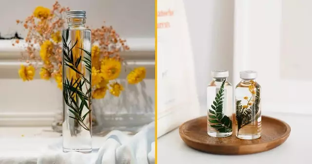 plantes-immergees-fioles