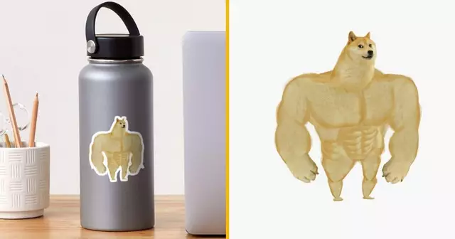 autocollant-swole-doge-chien-muscle