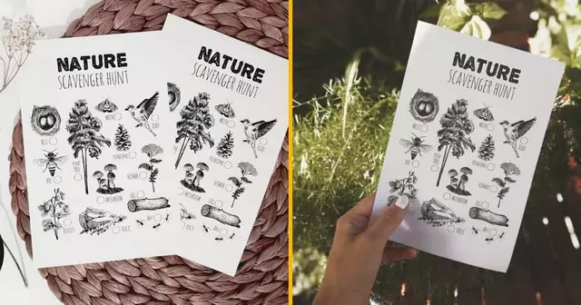 jeu-chasse-tresor-nature-imprimer