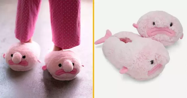 chaussons-blobfish-pieds-moches-mais-chauds