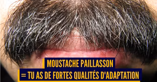 UNE MOUSTACHE