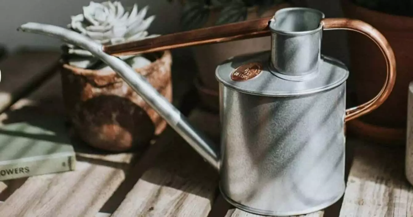 arrosoir-haws-cooper