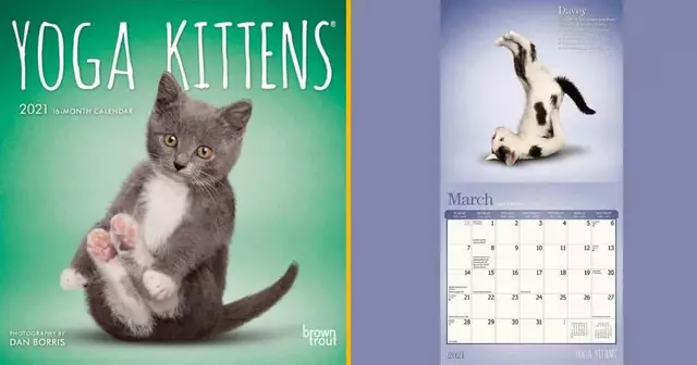 calendrier-avec-des-chatons-bondissants