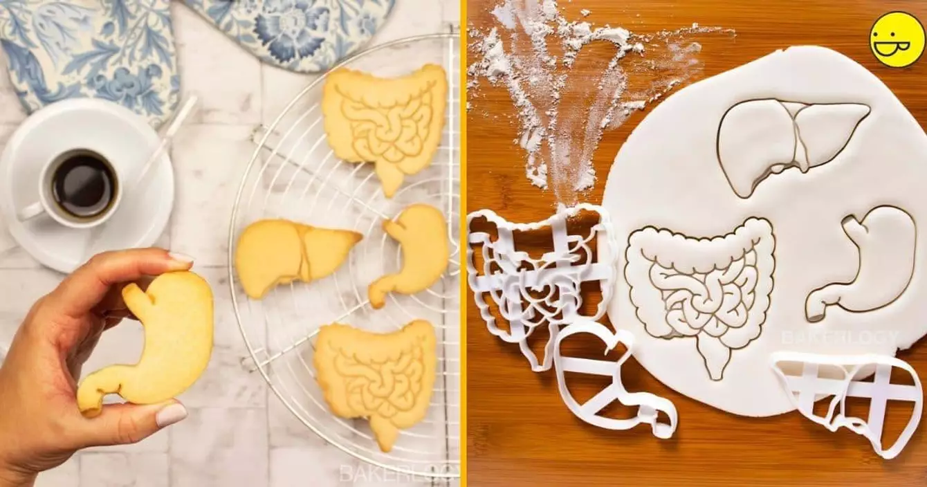 emportes-pieces-organes