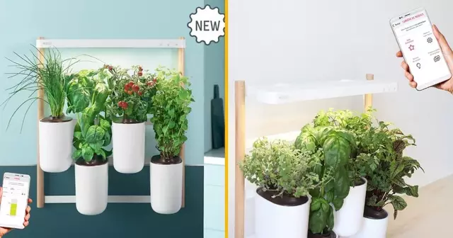 potager-interieur-evolutif-modulo