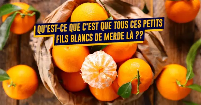 RaisonsDetesterClementine