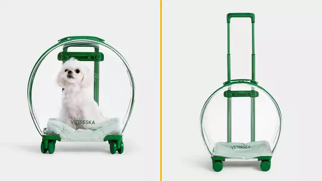 VALISE-BULBE-CHIEN-CHAT