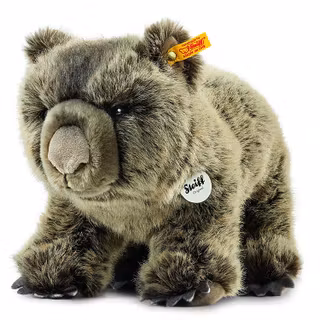 91pBOllSEJL._SL1500_