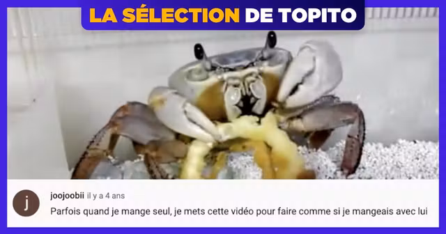 une-top-commentaires-chelou-youtube-2